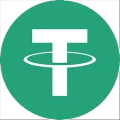 USDT payment option for MrMart88